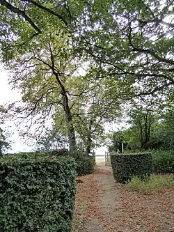 „Weißes Törchen“