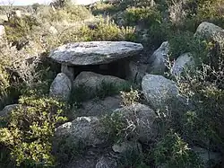 Dolmen Estanys III