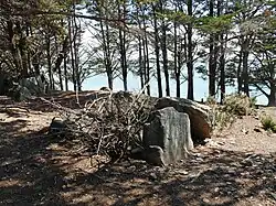 Dolmen de la Pointe de Liouse
