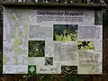 Öko-Korridor Reppisch; Schild bei Sellenbüren