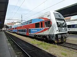 Farbversion „CityElefant“