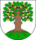 Wappen von Český Dub