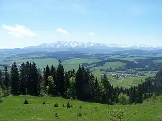 Blick von der Suszyna