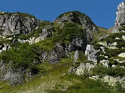 Basaltader (Kleine Schneegrube)