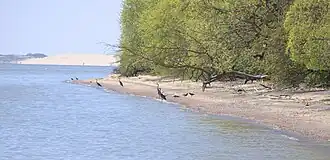 Landschaftseindruck von der Kurischen Nehrung