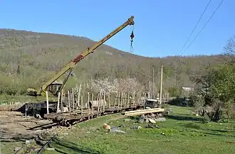Flachwagen für den Holztransport