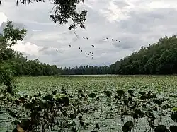 Beispielbild Altadighi-Nationalpark