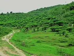 Beispielbild Khadimnagar-Nationalpark