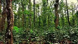 Shingra-Nationalpark