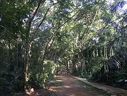 Forest Research Institute Malaysia im Naturpark Selangor