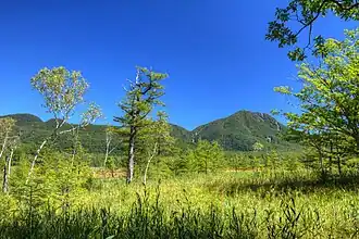 Senjogahara-Ebene im September