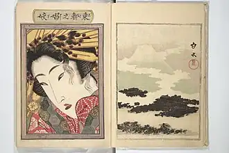 Illustriertes Buch 1[A 2]