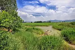 Upo-Feuchtgebiet, Ramsar-Gebiet in Changnyeong, Südkorea