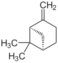 Struktur von (+)-β-Pinen