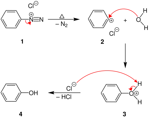 Mechanismus der Phenolverkochung