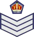 Dienstgradabzeichen eines Flight Sergeant
