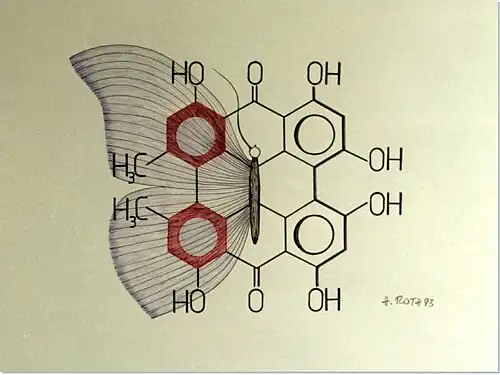 Hypericin-Zeichnung (1993) 1200 x 900