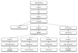 Hecheln als Schritt bei der textilen Aufbereitung von Hanffasern