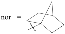Die 1-Norbornyl-Gruppe (nor- bzw. 1-nor)