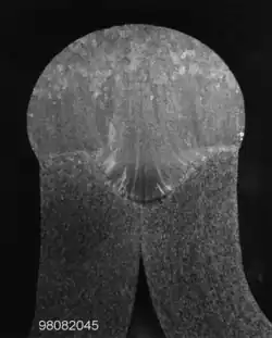 Bördelnaht an AlMg3 - 2 × 2,5 mm