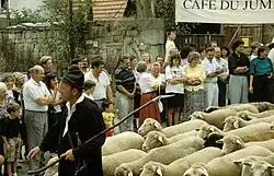 Stadtschäfer im Festzug