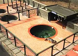 Aufzuchtbecken für kleine Robben