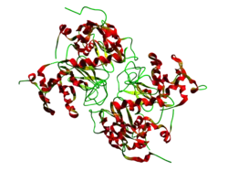 Lactalbumin (Bos taurus)