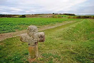 Das Dimbacher Flugsandgebiet an der Grenze zwischen den Gemarkungen von Dimbach und Gerlachshausen, das bereits im flacheren Schwarzacher Becken liegt