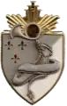 Abzeichen der Stabs- und Logistikescadron