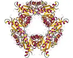 Nicotinamidnukleotid-Adenylyltransferase