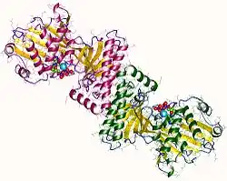 Mevalonatkinase