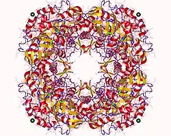 Isopentenyldiphosphat-Isomerase