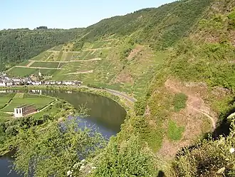 Klosterruine Stuben, Mosel und Calmont