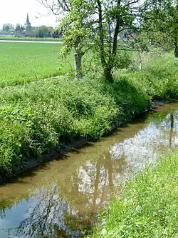 Eckbach zwischen Laumersheim (hinten) und Dirmstein