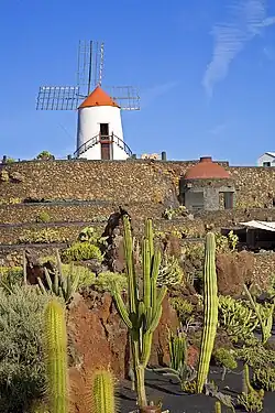 Jardín de Cactus mit Windmühle von César Manrique