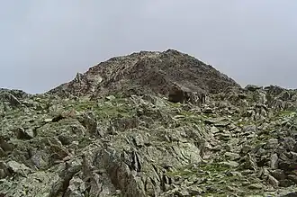 Gipfel Wildes Mannle (südlicher Aufstieg)