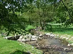 Der Reichenbach bei Königstein/Ts