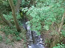 Waldbach kurz vor Schwalbach