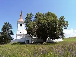 2011 – Gewinner „Linde in Leliceni“, Rumänien
