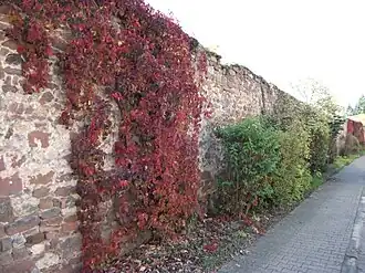 Bruchsteinmauer im Norden