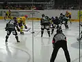 Eishockeyspiel zwischen den Hannover Indians und den Lausitzer Füchsen im Eisstadion am Pferdeturm