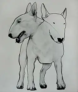 Das Bild zeigt einen Hund in dünnen schwarzen Linien gezeichnet. Der Hund hat einen zweiten Kopf der nach links schaut.