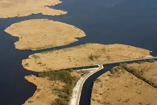 Luftaufnahme der Schilfzonen am Großen Meer, Mai 2013