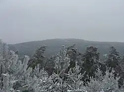Hohe Loog vom Taubenkopf aus