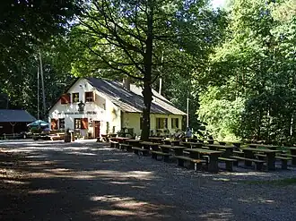 Waldhaus Drei Buchen