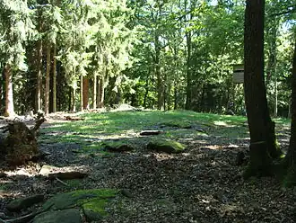 Roßberg – Gipfelregion