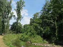 Speyer, Woogbachpark