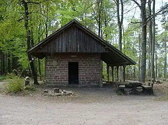 St. Martiner Fronbaum