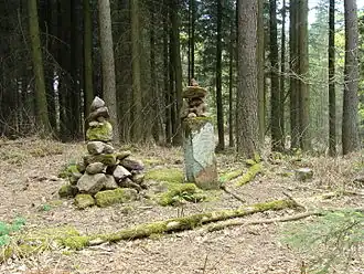 Gipfelbereich des Morschenberges