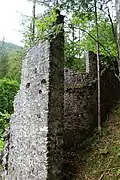 Burg Treffen (Kärnten) Blick aus Süd-Osten.